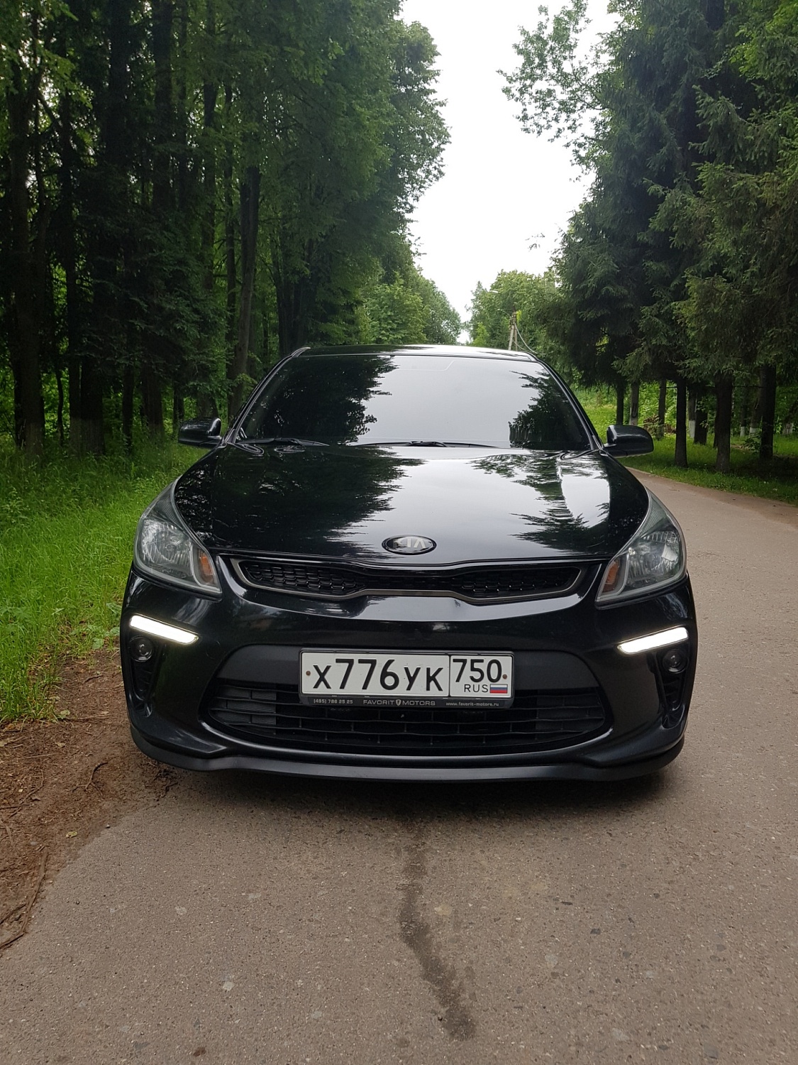 Антихром Kia